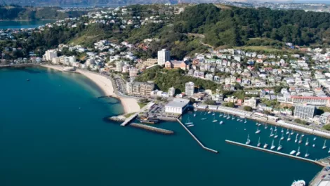 Wellington leads country for high-tech growth