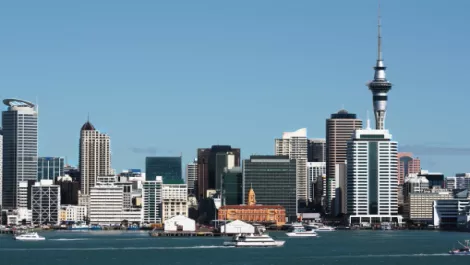 IT exporter moves Auckland office