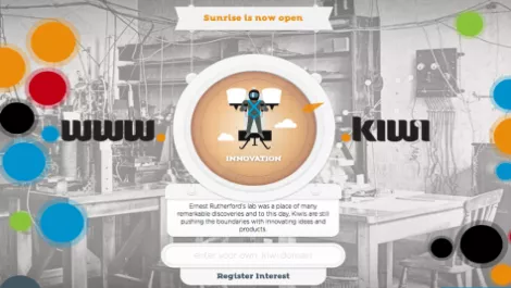 The great Dot Kiwi domain name auction gets underway...