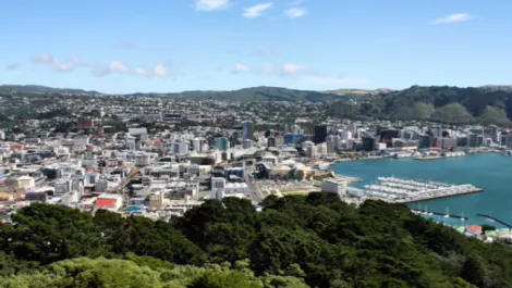 The Duct of Wellington
