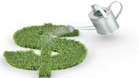 Green still a 'low priority'