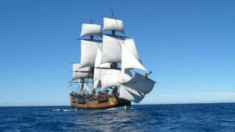 Mobility got Captain Cook, where will it take you?