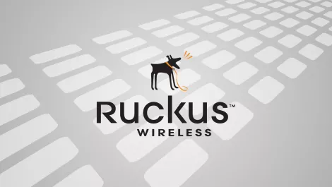 Ruckus: Wireless offers up some hot sectors