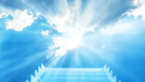 Cloud technology employment: Is the sky the limit?