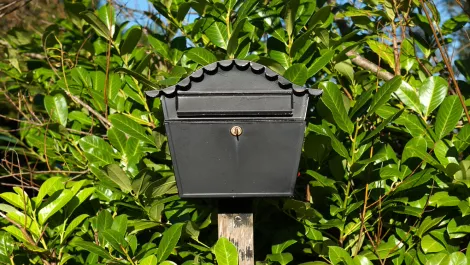 Privacy concerns spark contact address masking for .nz domain owners