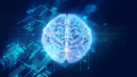 Going rogue: The challenges of AI in customer service