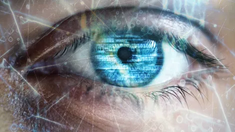 Exclusive: The world of invisible IT