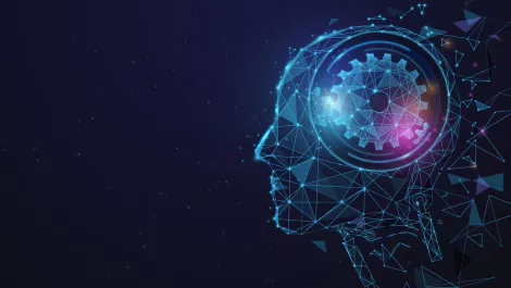 rapidMATION to resell DRUID chatbot platform after forming partnership