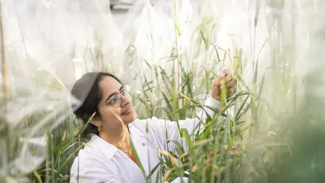 Saskatchewan invests CAD $2.2M into early-stage Prairies tech