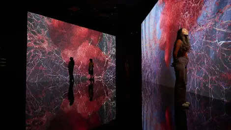 Marshmallow Laser Feast exhibition makes Doha debut